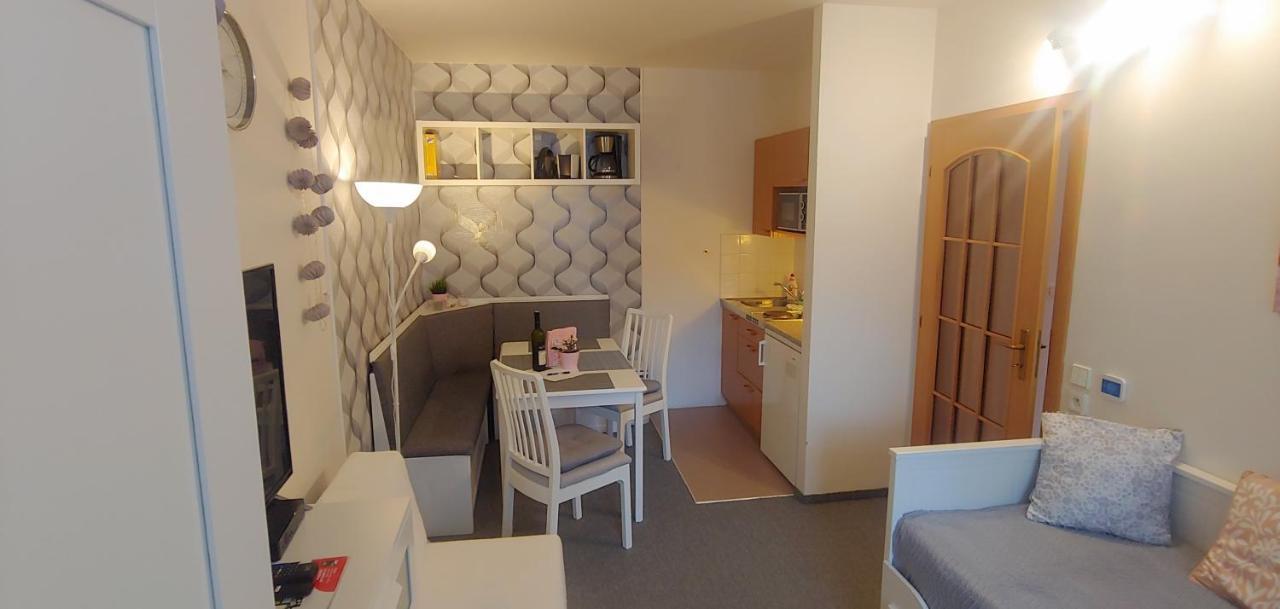 Horsky Apartman Roky - Krkonose 로끼뜨니쩨나드이제로우 외부 사진