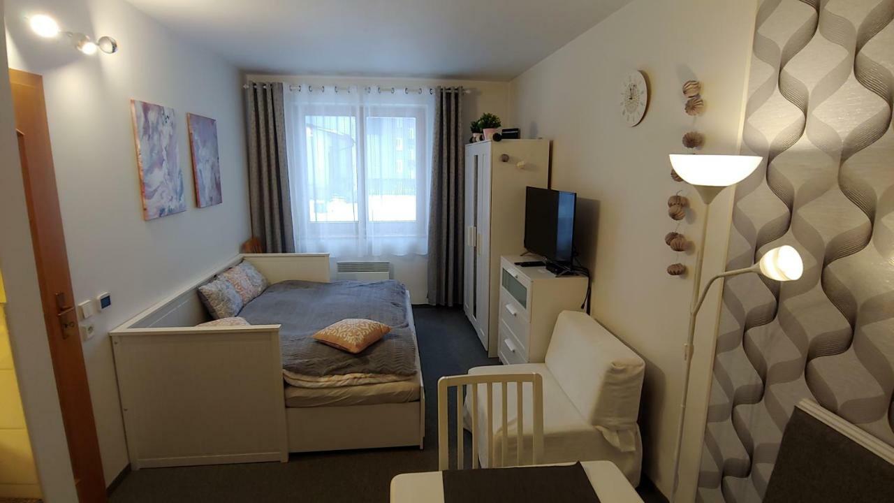 Horsky Apartman Roky - Krkonose 로끼뜨니쩨나드이제로우 외부 사진